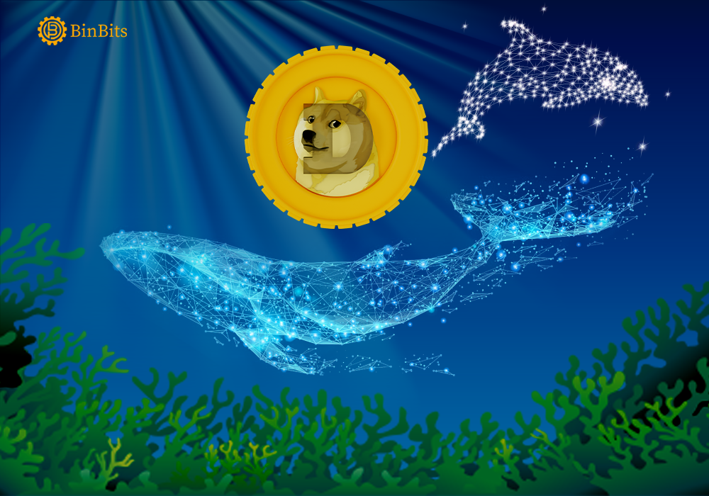 Dogecoin is Now Among the Top 10 Binance Smart Chain Whales Dogecoin is Now Among the Top 10 Binance Smart Chain Whales