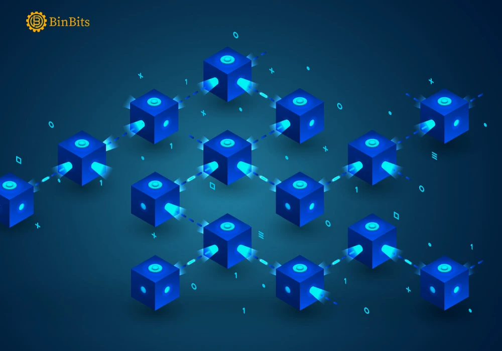 Uniswap founder, Hayden Adams warns community against ENS wallet scam Uniswap founder, Hayden Adams warns community against ENS wallet scam